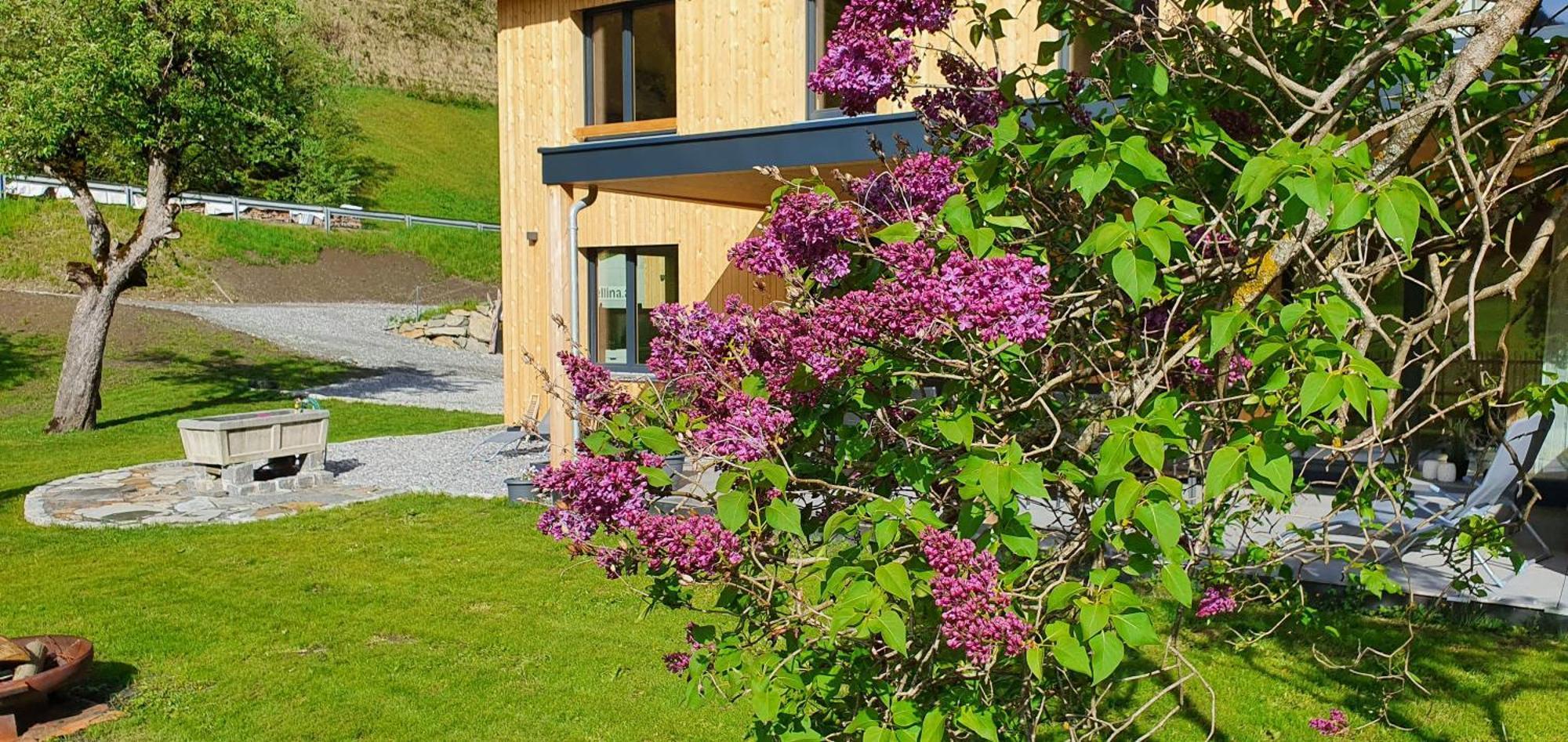 Haus Valtellina Vila Galgenul Exterior foto